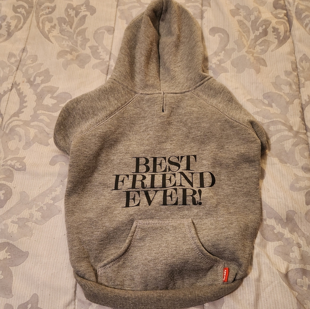 Reddy Large gray dog hoodie.